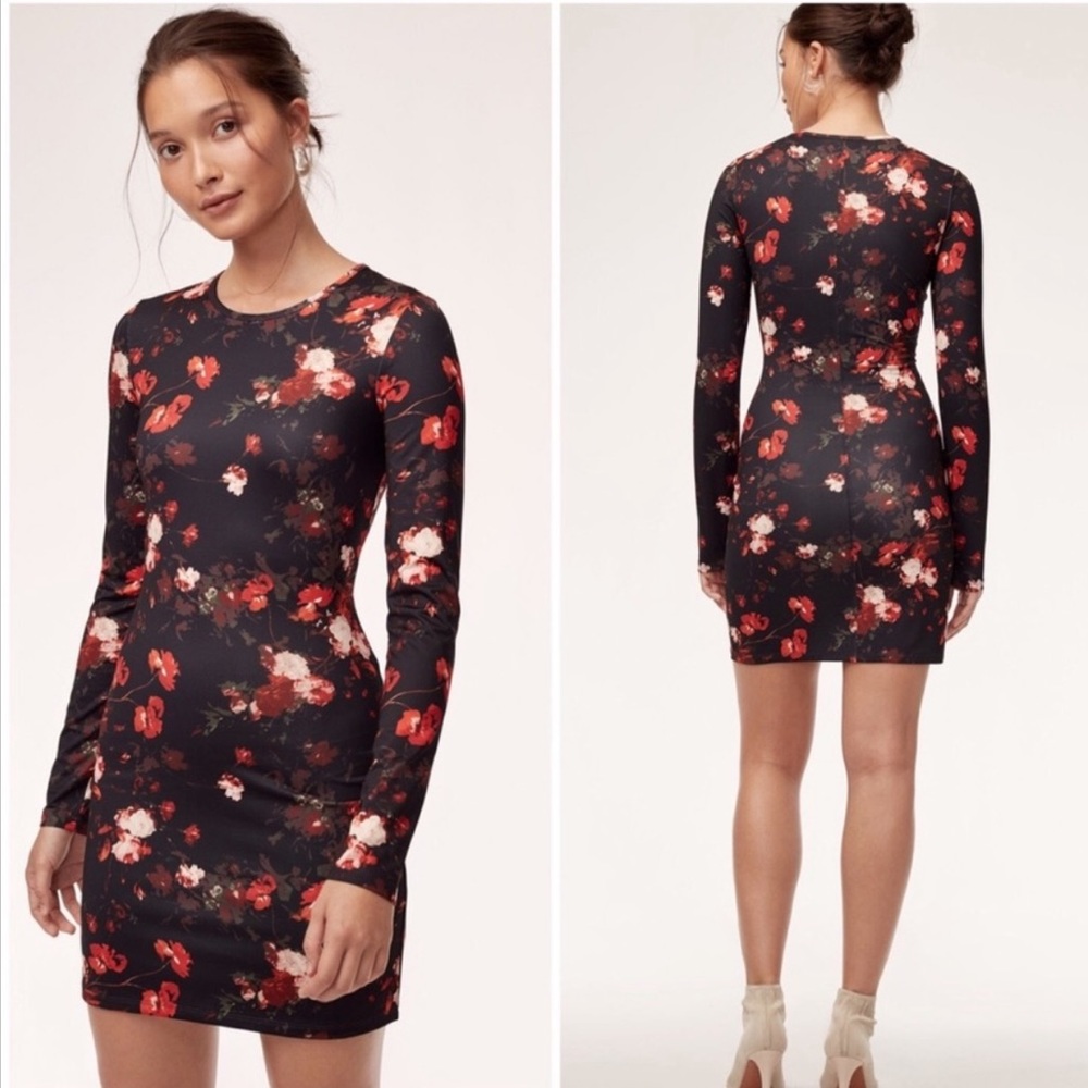 Long sleeve floral bodycon dress, Aritzia